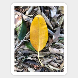 Mustard Leaf Sticker